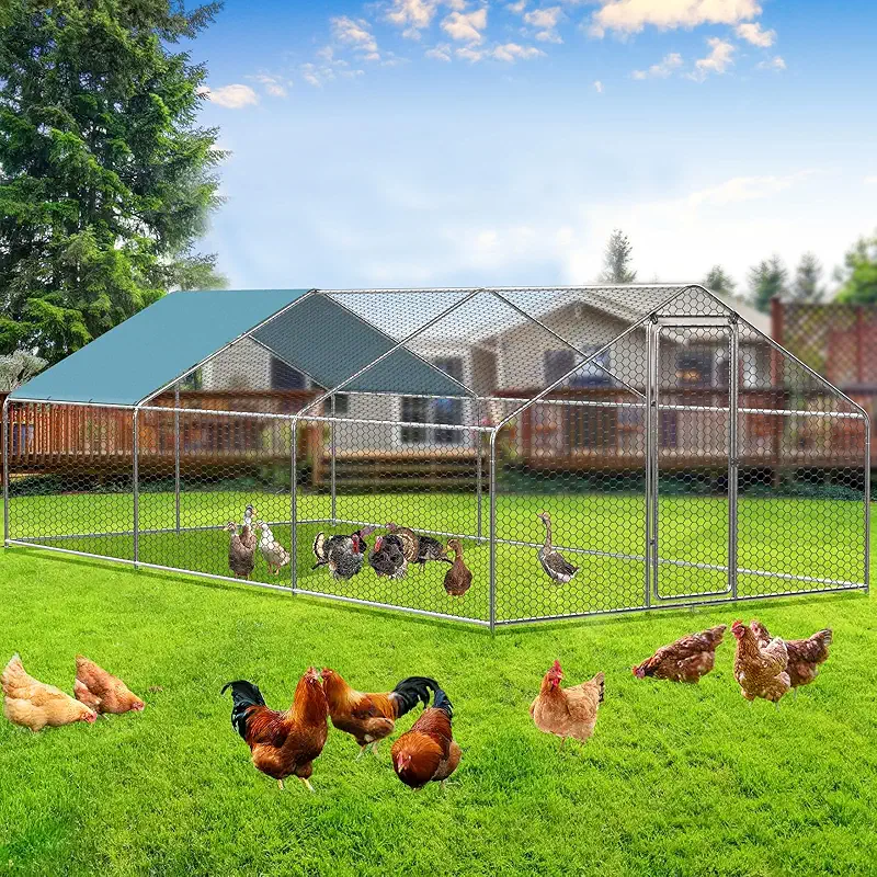 Metal chicken coop