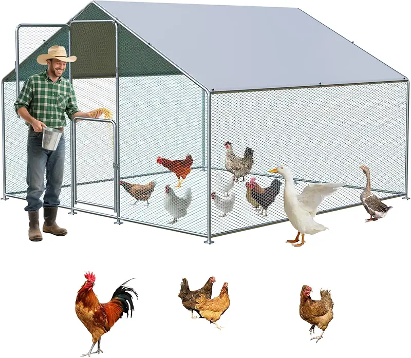 Metal chicken coop