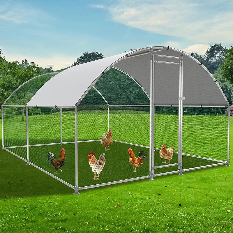 Metal chicken coop