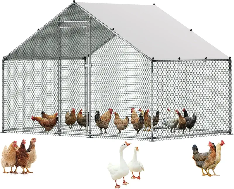 Metal chicken coop