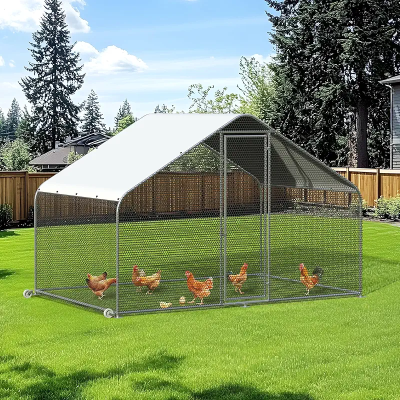 Metal chicken coop